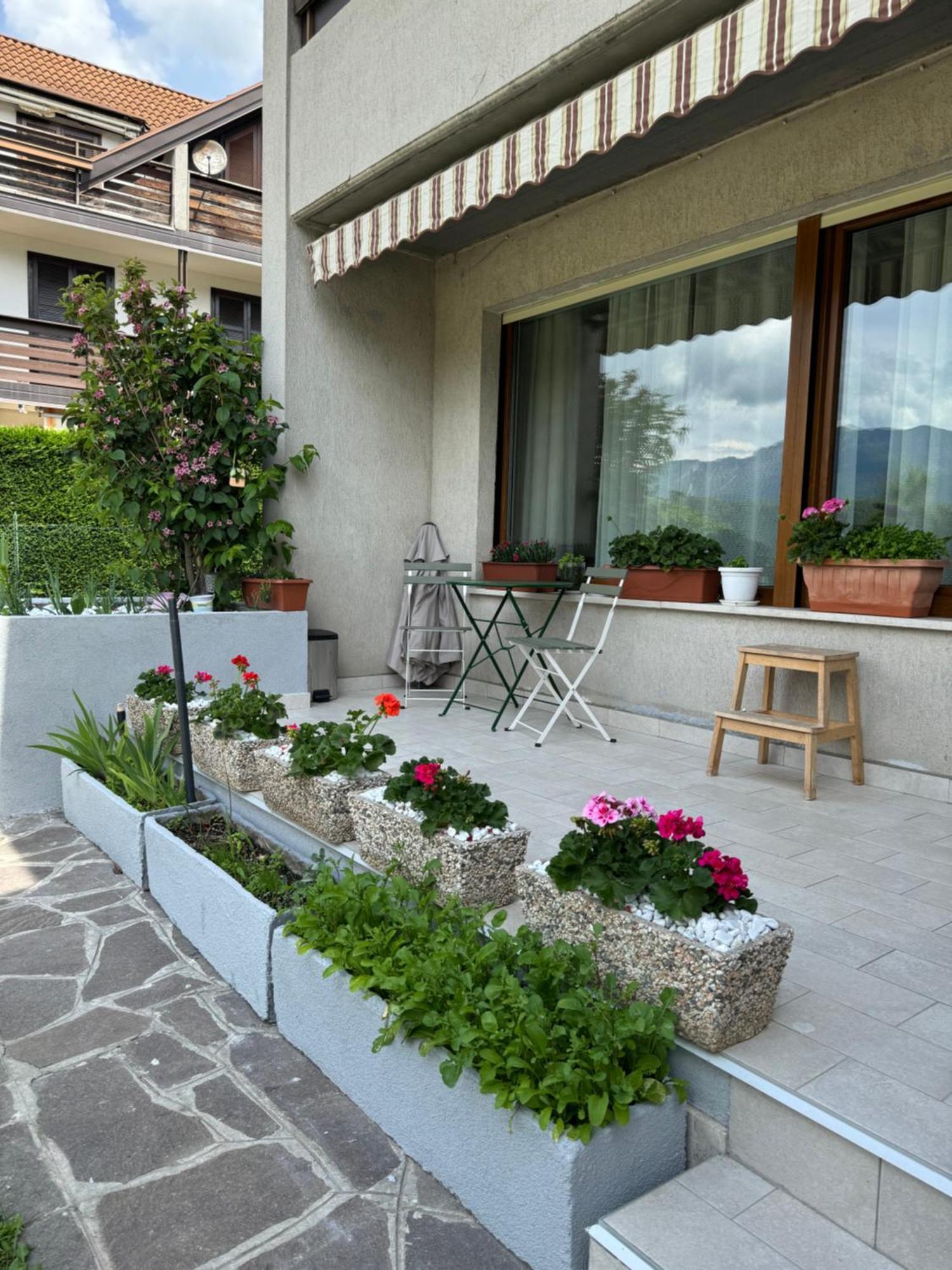Green House Next - Lovely Apartment For Family And Free Parking Левико-Терме Экстерьер фото